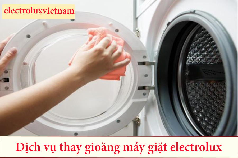 dịch vụ thay gioăng máy giặt electrolux